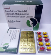top pharma franchise company in Haryana Sycap Pharma 